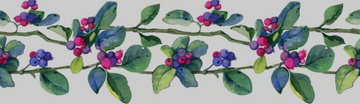 When the World Forgets to Breathe | Lessons from the Serviceberry